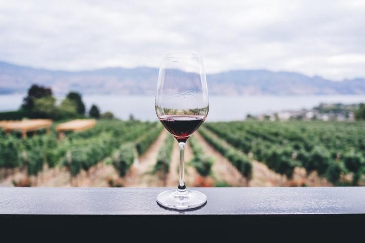 Een glas wijn bij een wijngaard