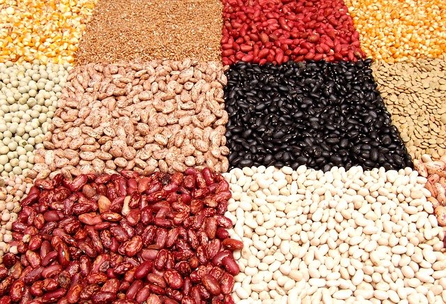 Different colors of beans