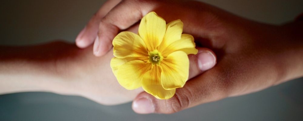 Twee handen die elkaar vasthouden met een bloemetje in het midden