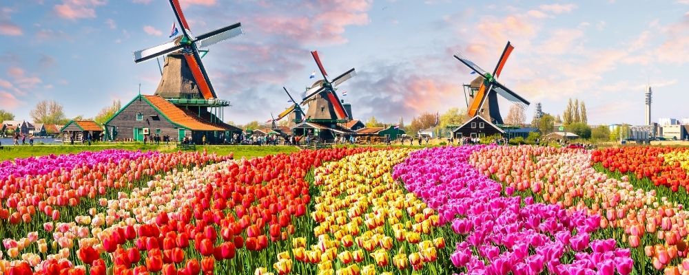 Nederland met windmolens en tulpen